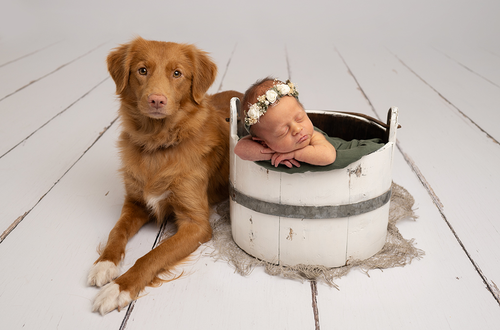 gravid-bebis-fotografering