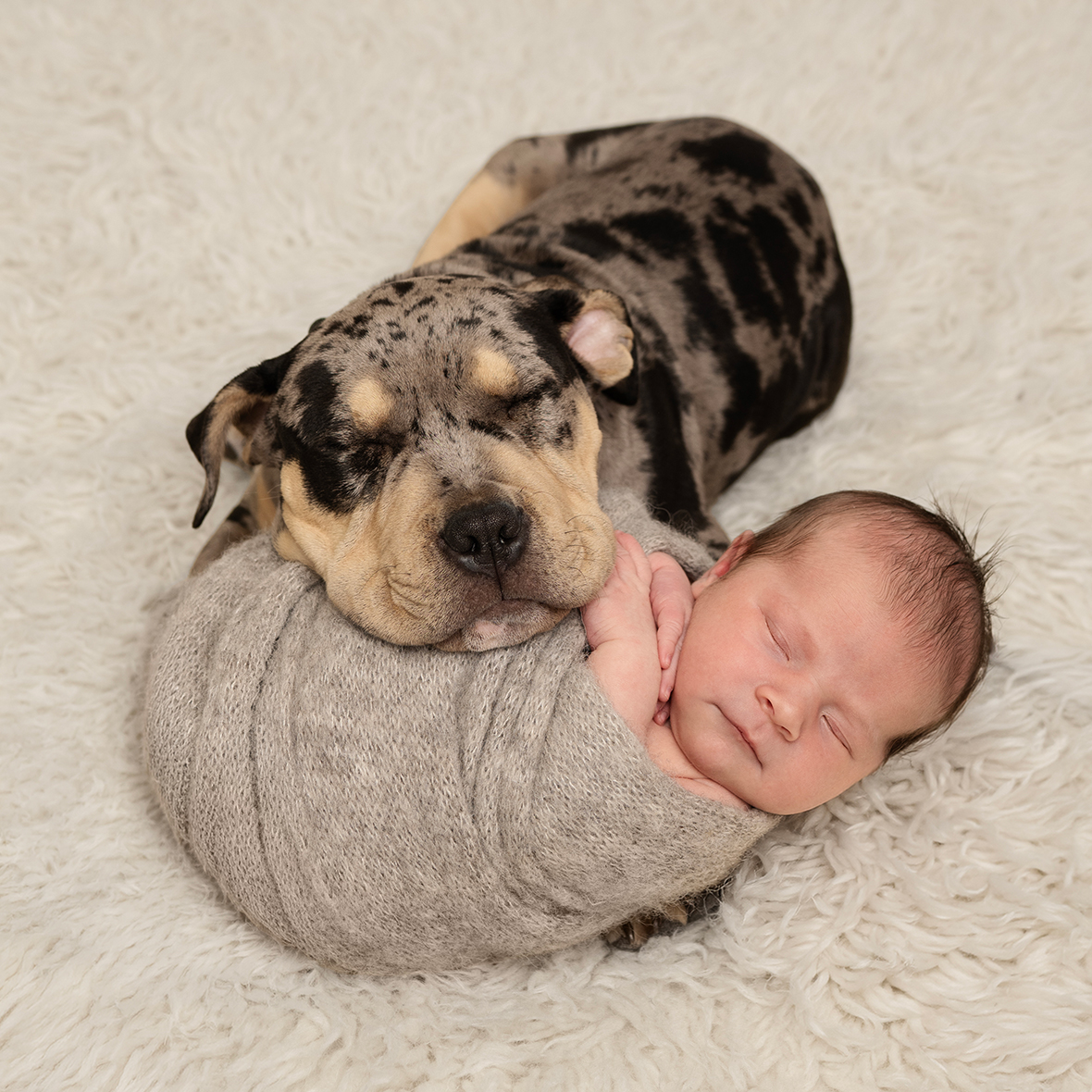 baby-fotografering-grey